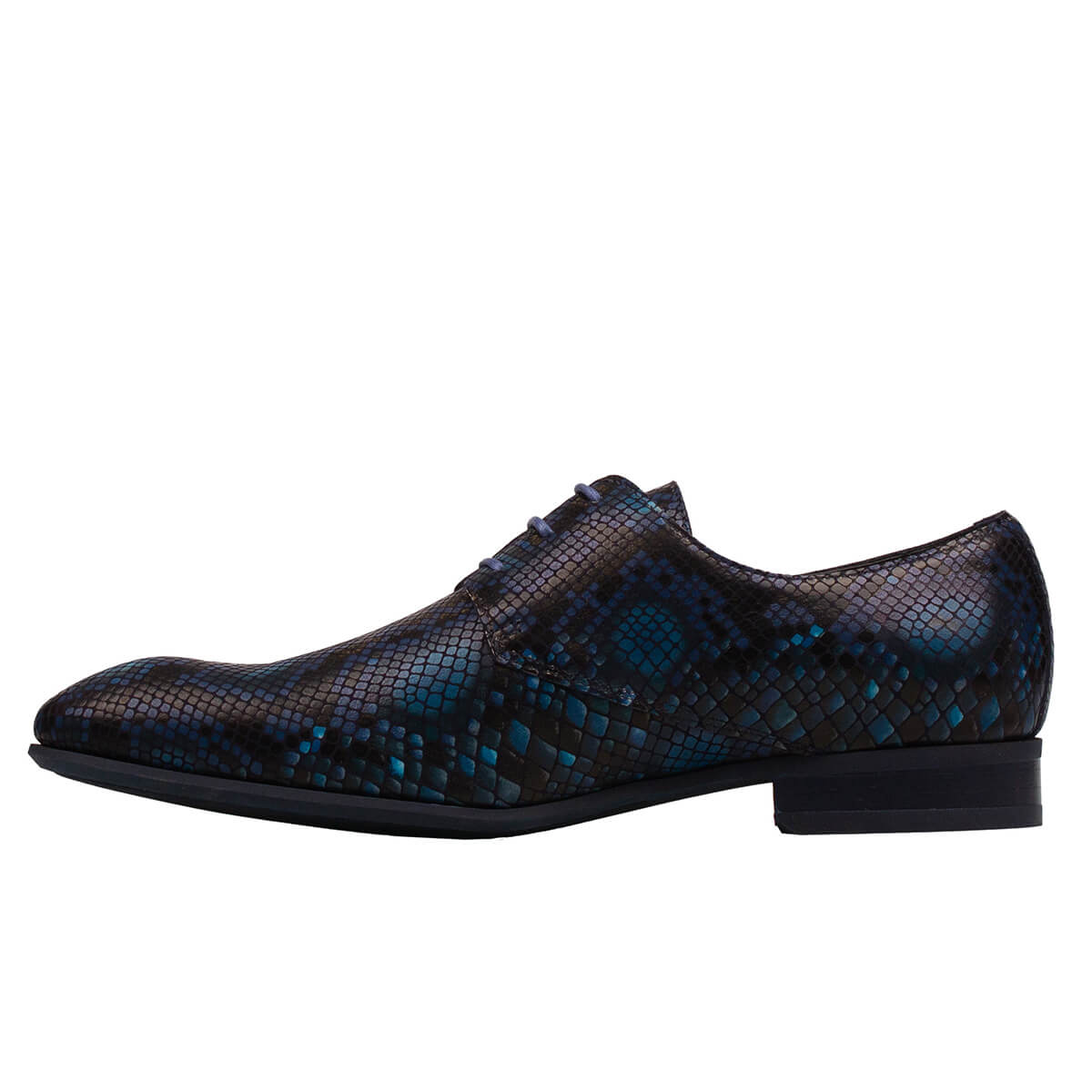 Skylla 