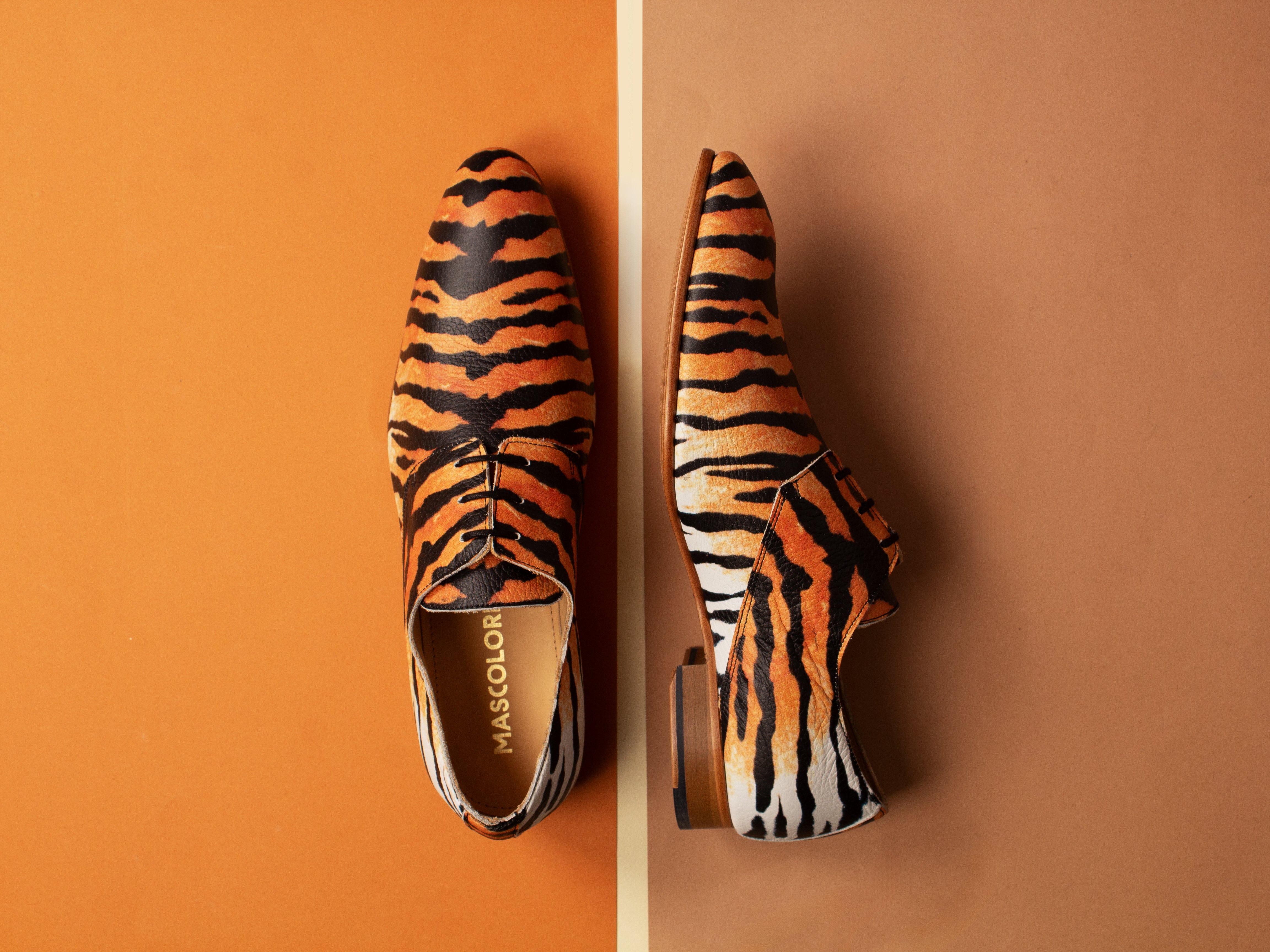Panthera Tigris