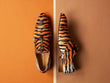 Panthera Tigris