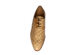 Sahara Fang