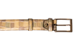 Gecko-Gürtel 