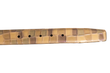 Gecko-Gürtel 
