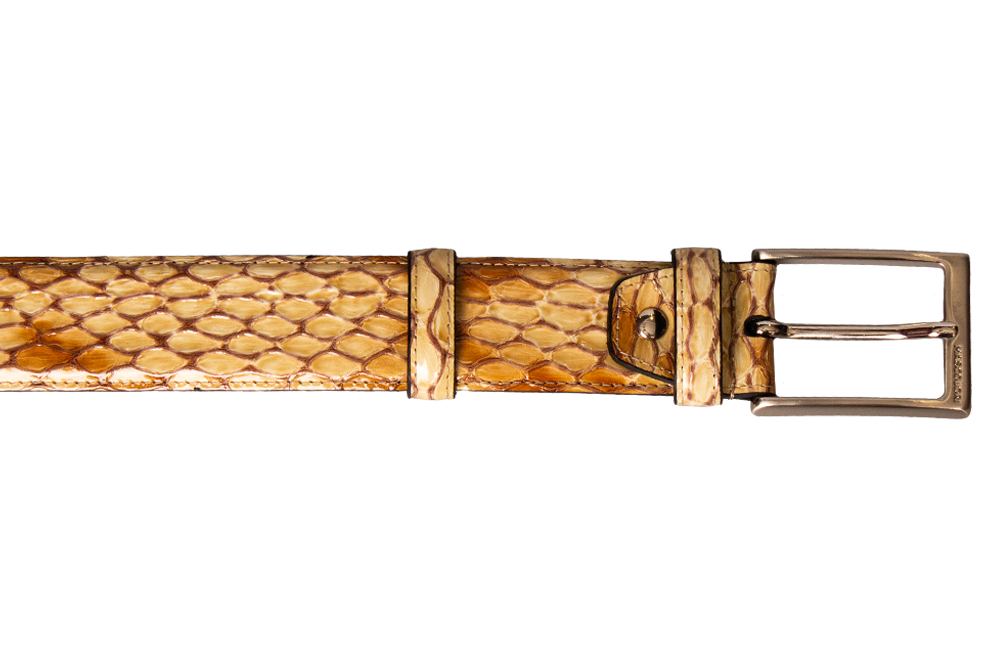 Sahara-Fang-Gürtel 