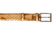 Sahara-Fang-Gürtel 