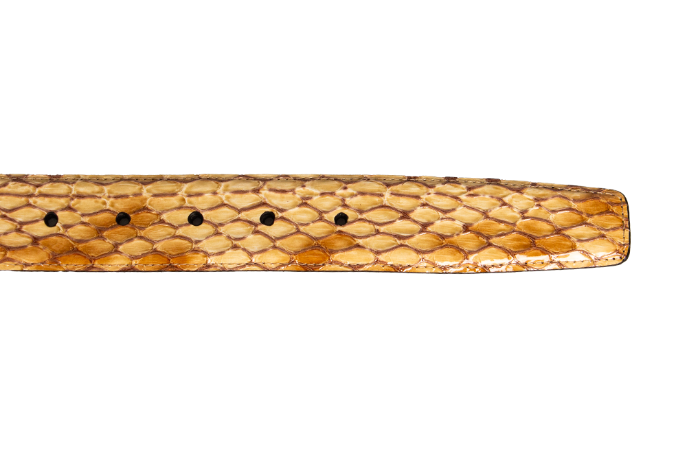 Sahara-Fang-Gürtel 