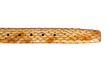 Sahara-Fang-Gürtel 