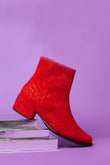 Rote Beere Botanica 