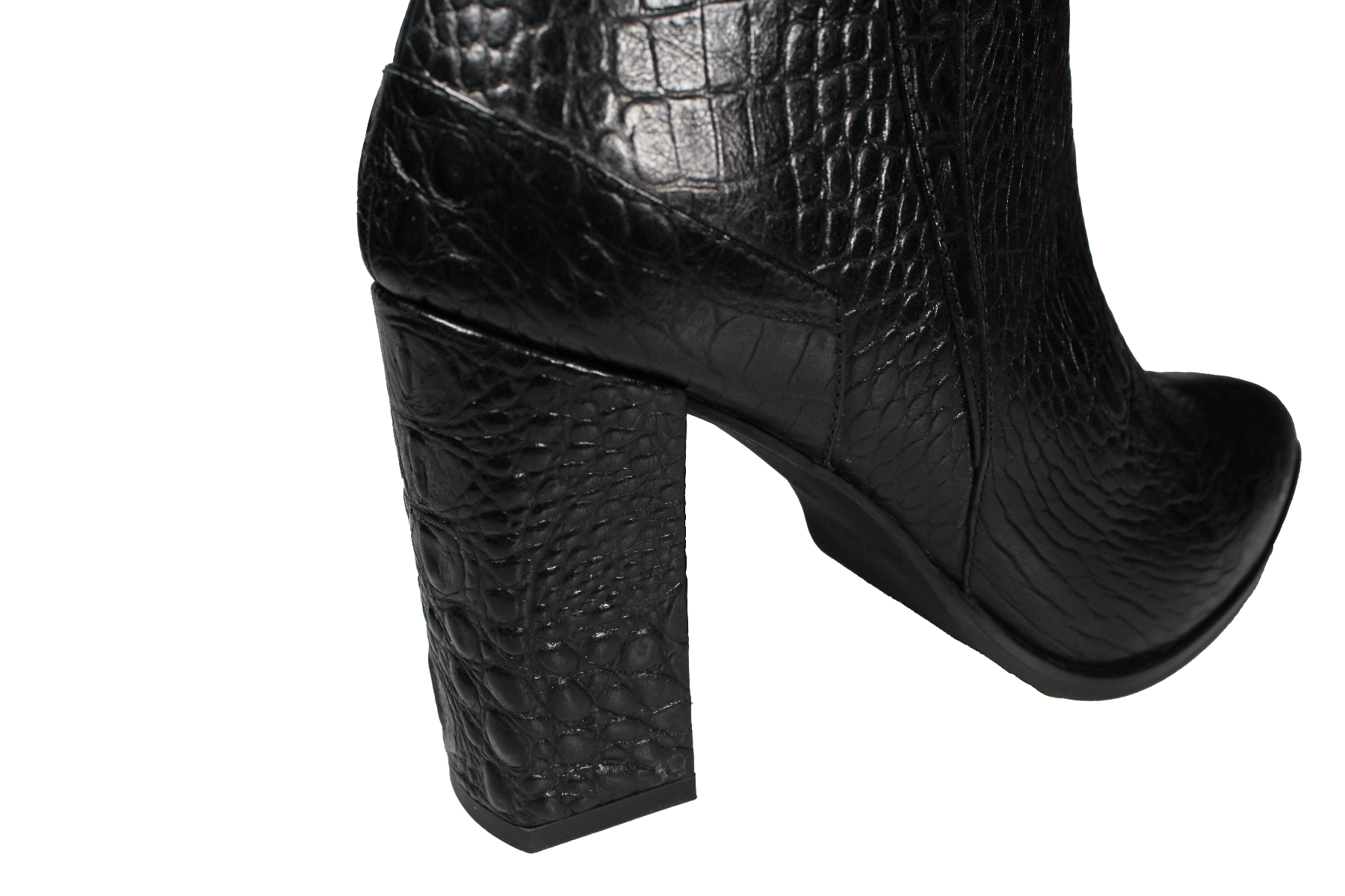 Melanosuchus Niger