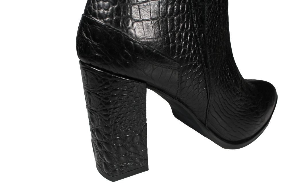 Melanosuchus Niger
