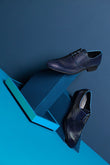 Blaue Witwe